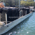 Oyster Cage Cage Hexagonal 10mm Mesh Black yang Dilindungi UV